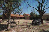 ���� ��������