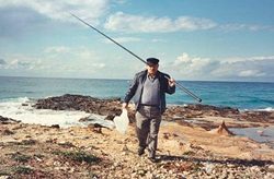 ������ �� ����